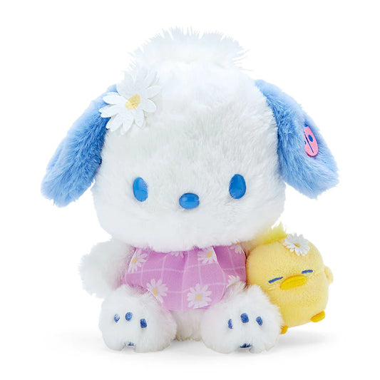 Pochacco sanrio peluche daisy